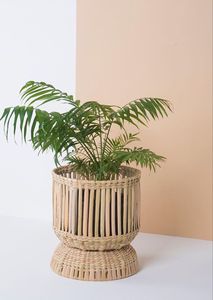 Maceta Ecológica de Jacinto de Agua para Sala de Estar, Balcón, Terraza, Plantas de Interior, Diseño Duradero y Elegante - Product Image 4