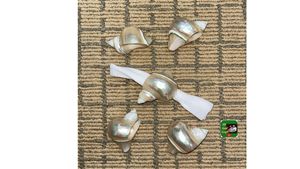 Rond de serviette coquillage fait à la main à partir de coquillage pour la table de mariage ferme rustique approvisionnement Vietnam - Product Image 2