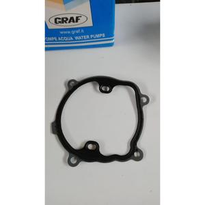 POMPA ACQUA OPEL Movano 3a Serie (06>10) 7701472625 Benzina - Product Image 4