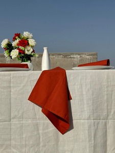 Serviettes en coton faites à la main Boho Chic zéro déchet carré Style rouille décor de cuisine réutilisable personnalisé pour les mariages et Thanksgivings - Product Image 2