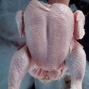 Pollo Entero Congelado Halal de Primera Calidad, Procedente de Sacrificio Halal, Suministro al por Mayor - Product Image 1