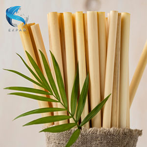 Pailles en bambou bio pour boissons chaudes et froides - Product Image 4