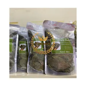 Natural Dried Soursop Leaf / Graviola Leaves from Viet Nam with cheap price and grade quality