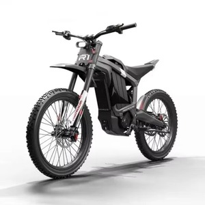 Rererode R1 Moto Cruiser Électrique Écologique 250cc Haute Performance au Design Épuré pour Support Personnalisé DIY OEM & ODM - Product Image 1