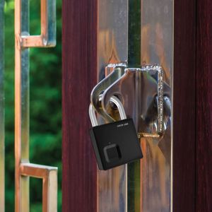 Green Lion <b>Mini</b> Fingerprint Smart <b>Padlock</b> High Quality Golden Supplier Security Device with Brass Cylinder - Product Image 2