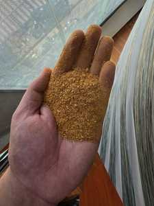 ข้าวโพดเลี้ยงสัตว์ ddgs-ส่วนผสมที่มีคุณค่าสำหรับอาหารสัตว์ "กลั่นธัญพืชแห้งด้วย solubles จากข้าวโพด-อาหารสัตว์พรีเมี่ยม" - Product Image 6