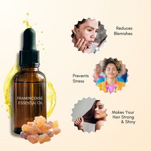 Huile Essentielle Pure à 100% de Qualité Thérapeutique, Huile de Résine d'Encens Distillée à la Vapeur, Prix en Gros, Extrait 100% Biologique d'Encens - Product Image 3