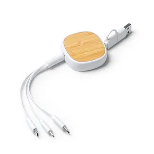 Cavo di Ricarica Personalizzato New Bern 5-in-1, Gadget USB Personalizzati per Articoli Promozionali - Product Image 4