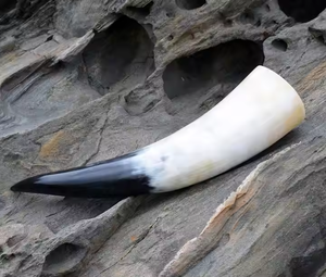 Corne à boire de buffle fabriquée à la main luxueuse corne de Viking polie à la main par l'artisanat du croissant - Product Image 1