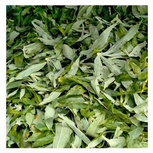 Hoja de mandioca congelada, precio al por mayor, Vietnam congeladas de hojas de mandioca, ingredientes de cocina convenientes - Product Image 6