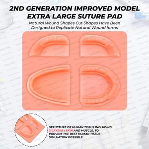 แผ่นฝึกเย็บแผลสำหรับการตัดเหงือกและเย็บเหงือกแผ่นฝึกเย็บแผลที่ดีที่สุดสำหรับนักเรียนโรงเรียนทันตกรรมโดยการดูแลหลอดเลือด - Product Image 5