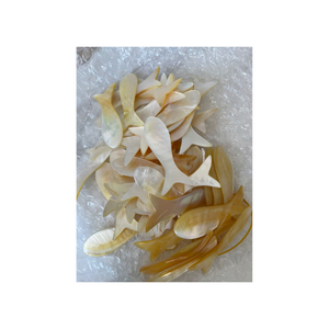 Premium Mother of Pearl Caviar Spoon Exquisite Handmade Shell Spoon for Fine Dining, Non-Metallic Utensil Preventing - Product Image 5