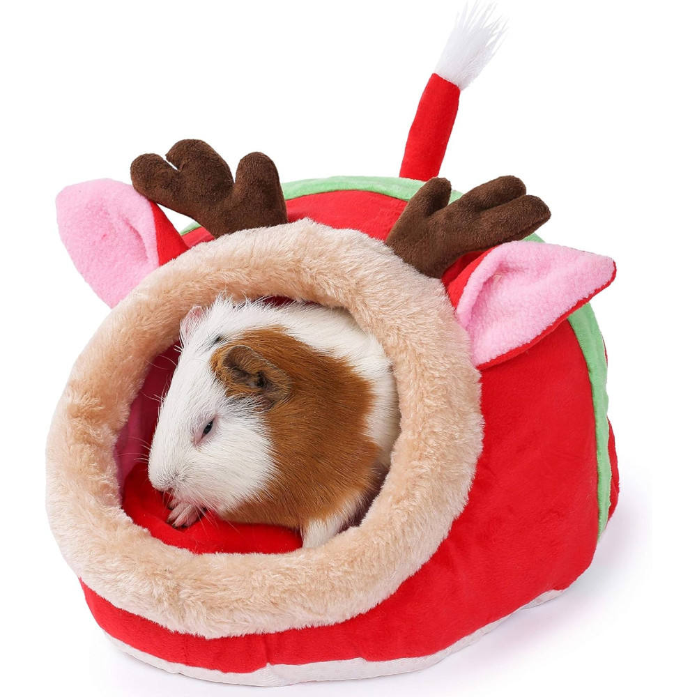 กวางเรนเดียร์