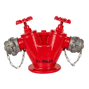 Bán buôn chữa cháy thiết bị 4 inch gang đôi ổ cắm vòi cứu hỏa hạ cánh van - Product Image 3