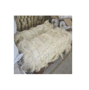 Obtenez votre approvisionnement en fibre de sisal brut naturel à vendre pas cher parfait pour l'artisanat de jardinage et la décoration intérieure fraîche et naturelle - Product Image 2