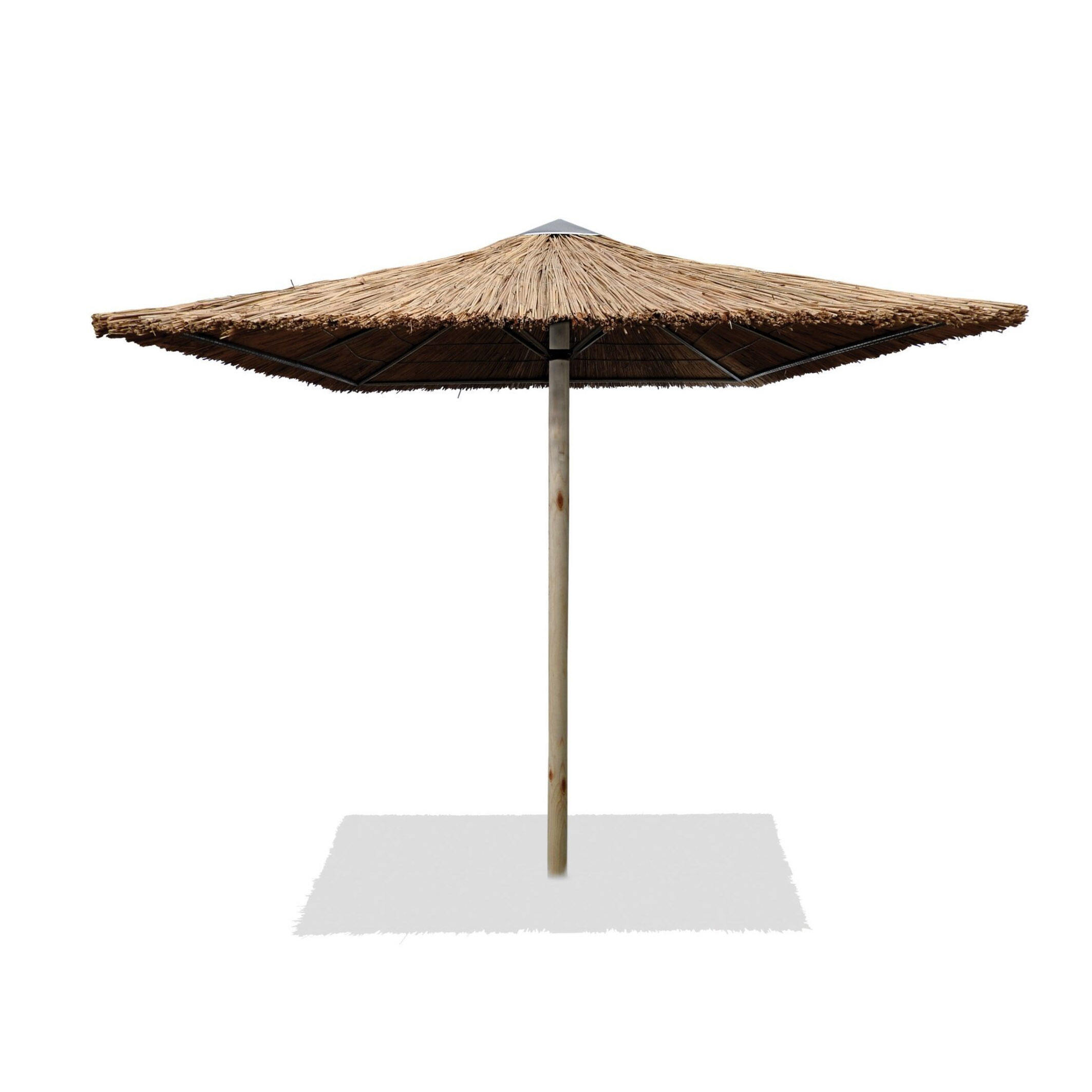 ธรรมชาติ