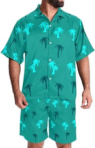 Conjunto de camisa y pantalones cortos de manga corta con botones de dos piezas para hombre, conjunto de verano informal de talla grande personalizado al por mayor, transpirable y antiarrugas - Product Image 4