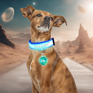 Collare Moderno di Lusso per Animali Domestici con Luce LED RGB, Pallina LED Illuminata per Sicurezza, in Nylon Poliestere, Stampa Semplice a Tinta Unita per Cani e Gatti - Product Image 1