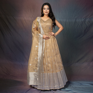 Vestido de Seda Banarasi de Lujo con Motivos Tradicionales Tejidos en Zari, Borde de Herencia Enriquecida y Elegante Silueta Evase - Product Image 1