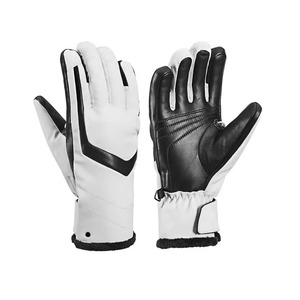 Haute bonne qualité meilleur taux hiver neige gants de cyclisme chaud hommes coupe-vent imperméable pour gants de Ski prix compétitifs - Product Image 5