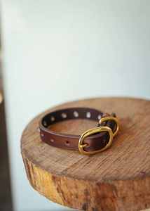 Col clouté classique-20mm-Cognac - Product Image 4