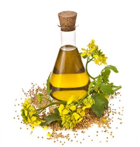 Huile de colza raffinée en vrac, fournisseur d'exportation en gros, directement de l'usine, huile végétale comestible de haute qualité pour les marchés alimentaires mondiaux - Product Image 1