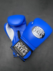 Gants d'entraînement de haute qualité avec rembourrage en mousse, option de logo personnalisé et design en maille respirante - Product Image 2