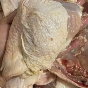 Pollo Halal Congelado Barato de Primera Calidad, Pechuga de Pollo Sin Piel y Sin Hueso en Venta - Product Image 1