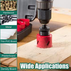 17 Pcs Baja Kecepatan Tinggi <span class=keywords><strong>3</strong></span>/4 Inci-2-1/2 Inci Set In Case dengan Mandrels - Product Image 6