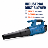 Souffleur de poussière industriel Dongcheng DIY Q1F-FF-120 haute puissance avec moteur à balais et alimentation secteur, 2,9 kg