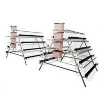 Nouveau système de cages automatiques pour poules pondeuses de type A, cage commerciale pour 96-160 poules, gain de place