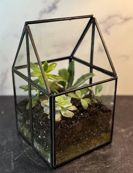 ตามที่แสดง