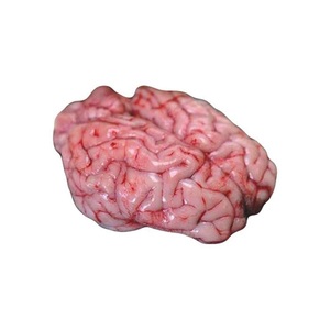 Cerveau de porc de qualité à vendre - Product Image 6