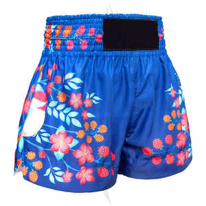 Pantalones Cortos de Muay Thai y Kick Boxing Personalizados, Impresos, Elásticos, Transpirables y Duraderos en Colores Degradados - Product Image 2