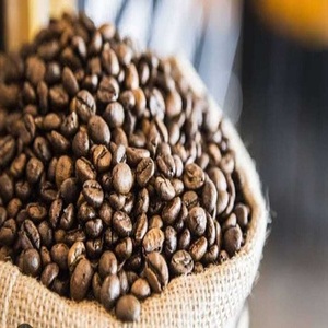 A 60kg A Plus 95 a 99% Pureza Robusta Tamaño 16 Origen de Vietnam Granos de café verde Bolsas a granel de alta calidad - Product Image 4