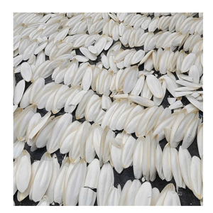 Tẩy Trắng Mực Xương Việt Nam Nhà Cung Cấp Giá Tốt Trắng Sáng Cho Chim, Vẹt - Product Image 1