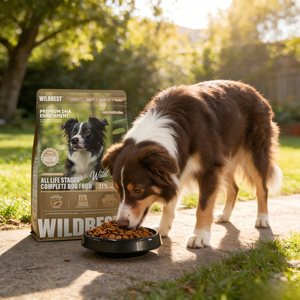 Nourriture complète pour chiens Petop, toutes les étapes de vie, avec 31% de protéines de poulet et de saumon, enrichie en DHA, digestion facile, pour la santé de la peau et du pelage - Product Image 4