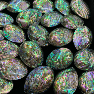 เปลือกหอยเป๋าฮื้อพรีเมียมจากทะเล พร้อมผิวมีประกายสีรุ้ง สำหรับงานตกแต่งหลากหลายประเภท - Product Image 2