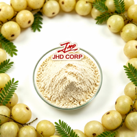 Poudre de jus de fruit d'Amla de qualité alimentaire en vrac pour les fournisseurs mondiaux de produits nutritionnels