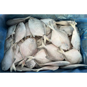 Poisson Pomfret blanc France à vendre en vrac IQF poisson Pomfret en <span class=keywords><strong>argent</strong></span> chinois congelé 300-400gr - Product Image 4
