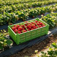 Plastic oogstmand Opvouwbare mand voor fruit en aardbeien Fruitmand met handvat Plastic plukmand