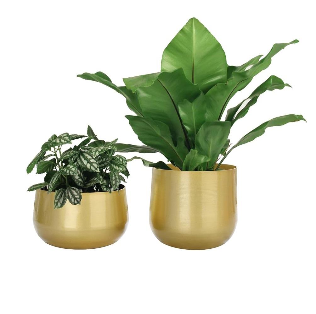 สีธรรมชาติ