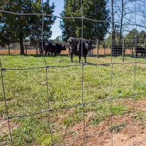 Game Wire Mesh 1.2M High Sheep Cattle Fixed Knot Field-Fence 50M 100M Farm Guard Field Fence