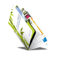 Design personnalisé, publicité promotionnelle, livret plié, dépliant, papier d'art, affiche de catalogue, dépliant, services d'impression de Menu