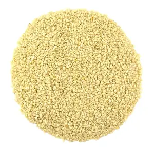 Semi di sesamo bianco in quantità sfusa e ad alto contenuto proteico semi di sesamo nuova coltura naturale di alta qualità olio di sesamo di qualità Premium