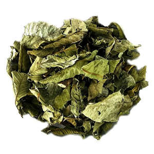 FEUILLES DE GOYAVE SÉCHÉES EMBALLÉES DE DÉLICIEUX ET DE NUTRIMENTS/QUALITÉ/GRANDE VALEUR/RÉCOLTÉES AU VIETNAM - Product Image 4