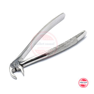 Fórceps de Extracción Dental para Niños, Instrumentos de Ortodoncia |   Fórceps de Extracción Dental para Niños de Acero Inoxidable con Logotipo Personalizado - Product Image 1