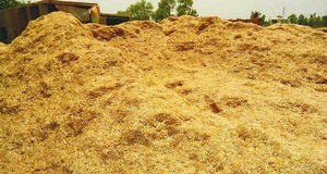 Vỏ Trấu Từ <span class=keywords><strong>Pakistan</strong></span> Các Nhà Cung Cấp Hàng Đầu/Các Nhà Cung Cấp Rơm Rạ Hàng Đầu Từ <span class=keywords><strong>Pakistan</strong></span> Đến Hàn Quốc - Product Image 6