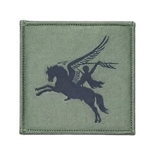 Parche Bordado Estilo Pegasus 16X para Uniforme - Product Image 1