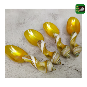 ช้อนเปลือกหอยผิวเรียบสำหรับร้านอาหารที่บ้านใช้ทำอาหารจากเวียดนาม - Product Image 6